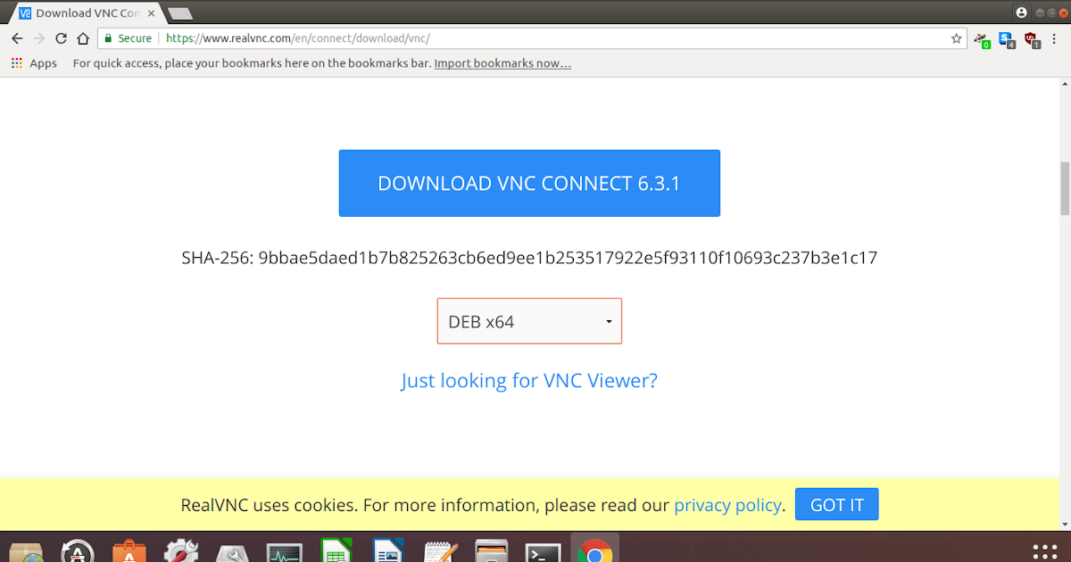 vns server download